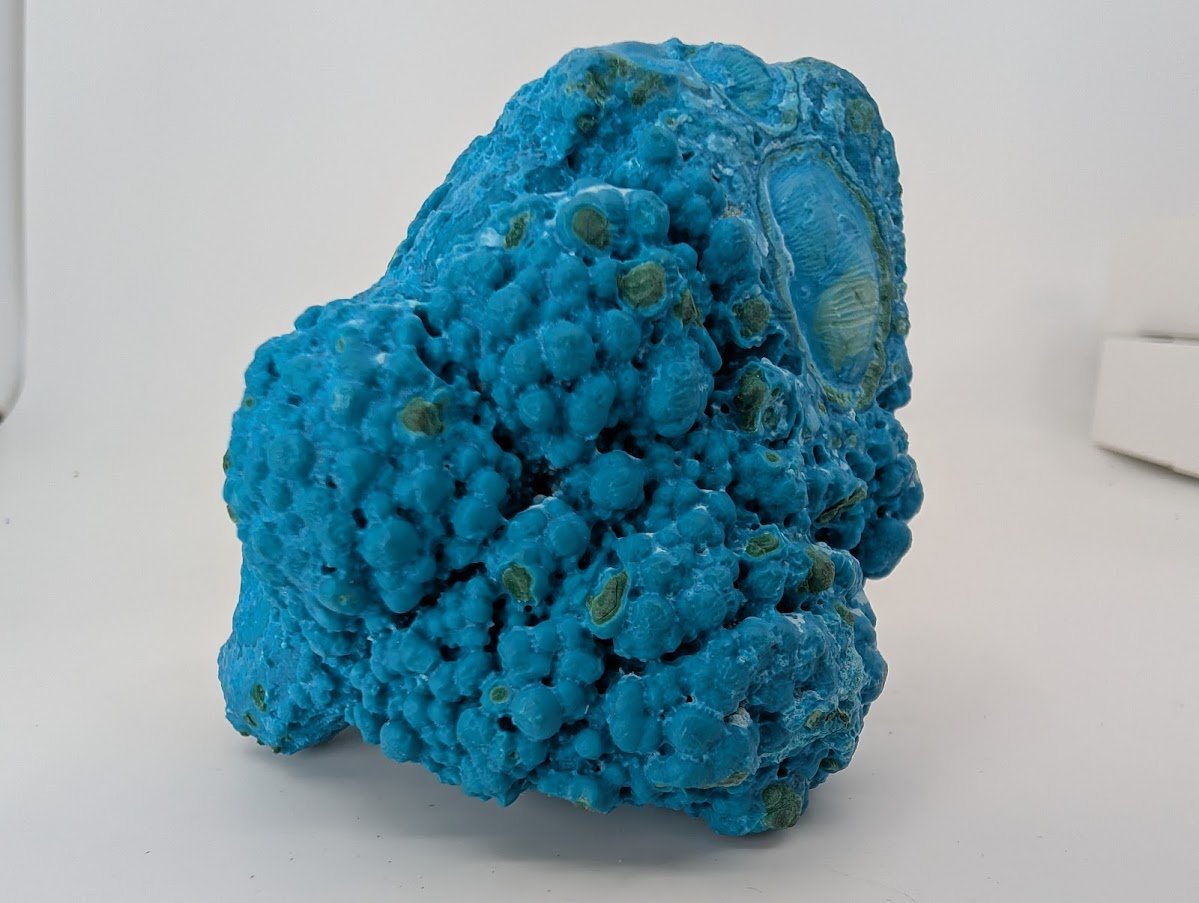 Congo Chrysocolla with Malachite – Botryoidal Specimen with Exposed Veins & Growth Rings (434g) - Legacy Crystals and Minerals