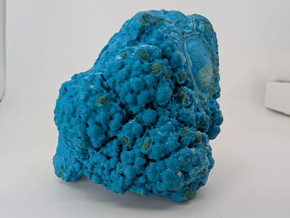Congo Chrysocolla with Malachite – Botryoidal Specimen with Exposed Veins & Growth Rings (434g) - Legacy Crystals and Minerals