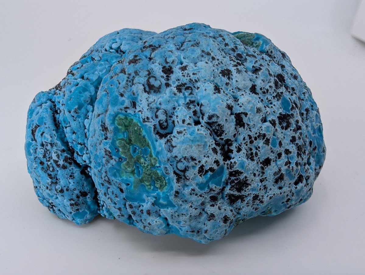 Congo Chrysocolla with Malachite – Botryoidal Specimen with Natural Base (363g) - Legacy Crystals and Minerals