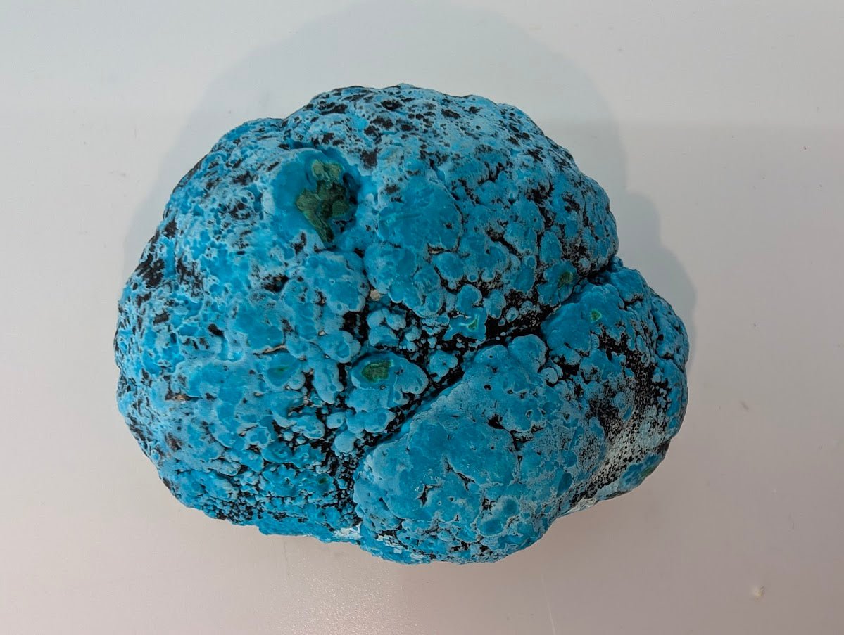 Congo Chrysocolla with Malachite – Botryoidal Specimen with Natural Base (363g) - Legacy Crystals and Minerals