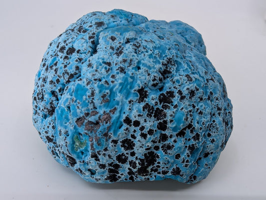 Congo Chrysocolla with Malachite – Botryoidal Specimen with Natural Base (363g) - Legacy Crystals and Minerals