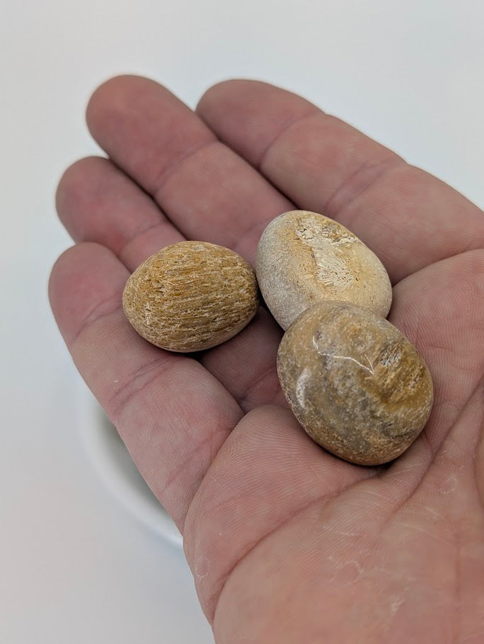 Coral Jade tumbled stones in hand for size reference