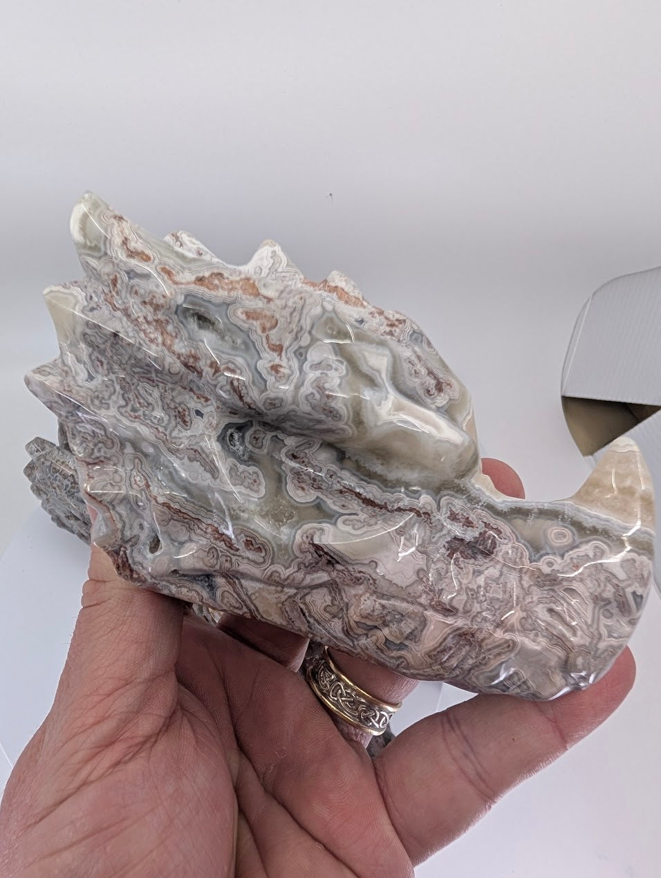 Crazy Lace Agate Dragon Head Variant A, 635g, cream and grey banding, 13 × 6.5 × 7.5 cm