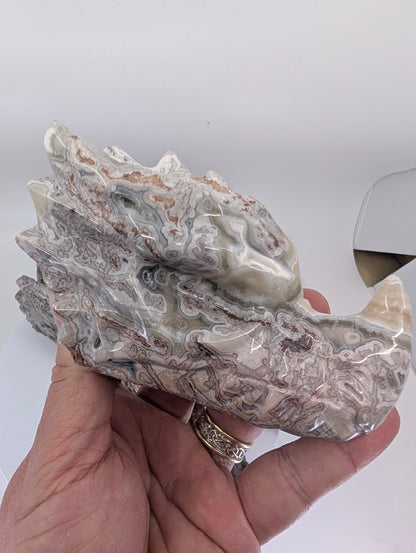 Crazy Lace Agate Dragon Head Variant A, 635g, cream and grey banding, 13 × 6.5 × 7.5 cm
