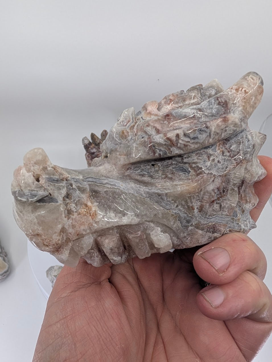 Side view of Crazy Lace Agate Dragon Head Variant B with flowing lace patterns