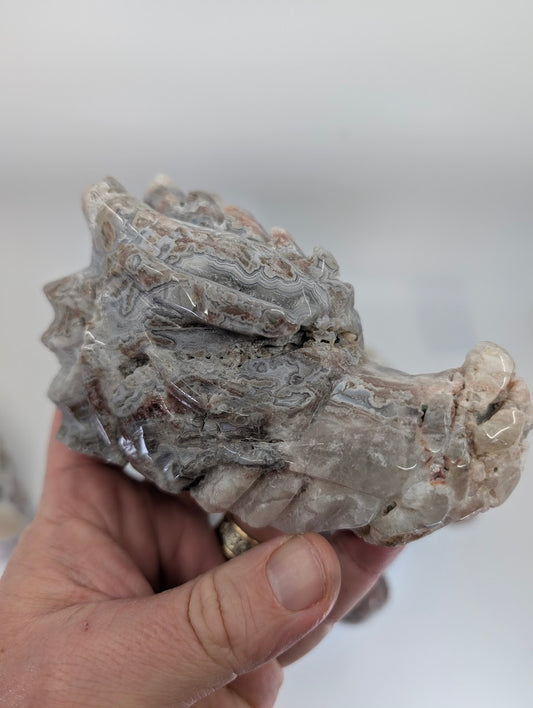Crazy Lace Agate Dragon Head Variant B, 680g, strong cream and beige banding