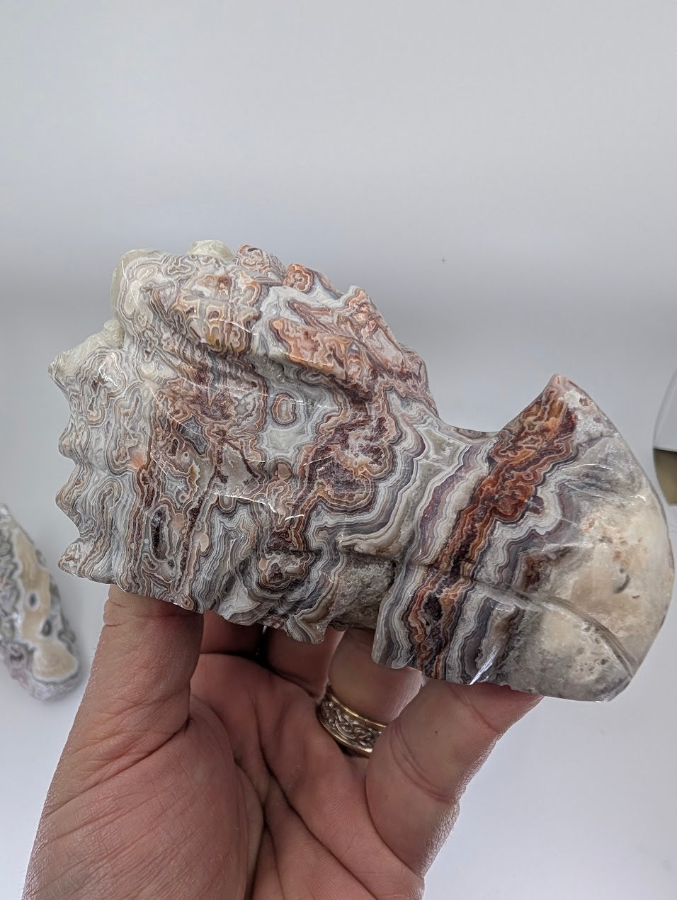 Crazy Lace Agate Dragon Head Variant D, 610g,