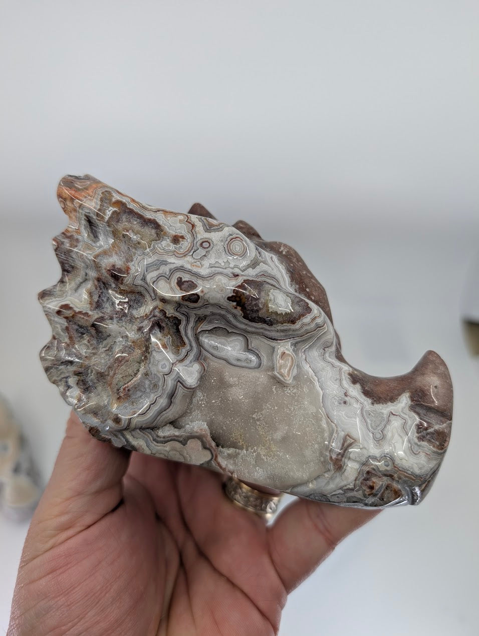 Crazy Lace Agate Dragon Head Variant E, 740g, bold rust and cream banding