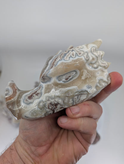 Side view of Dragon Head Variant F with tight, detailed banding