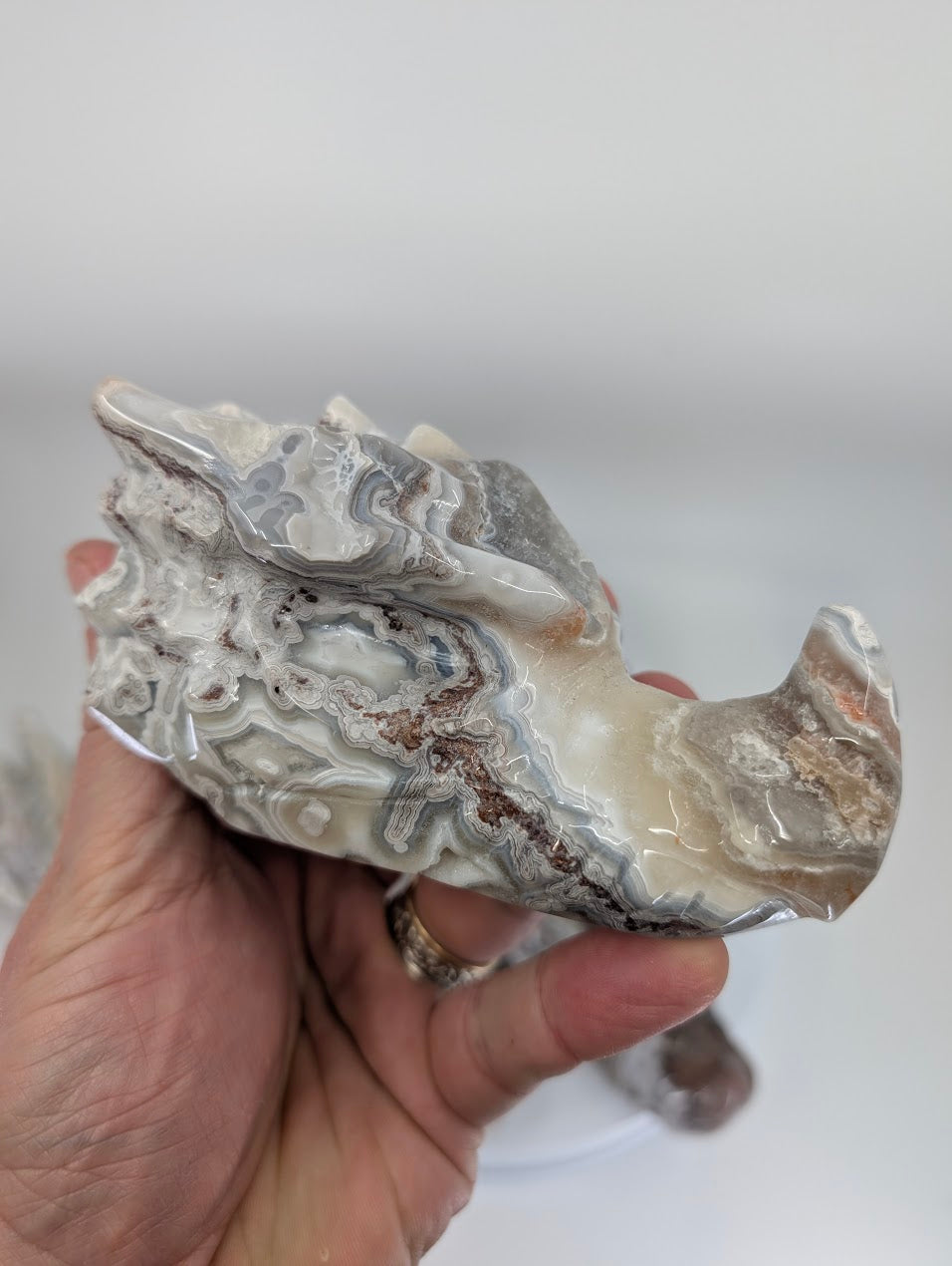 Crazy Lace Agate Dragon Head Variant F, 530g, light cream and grey lace banding