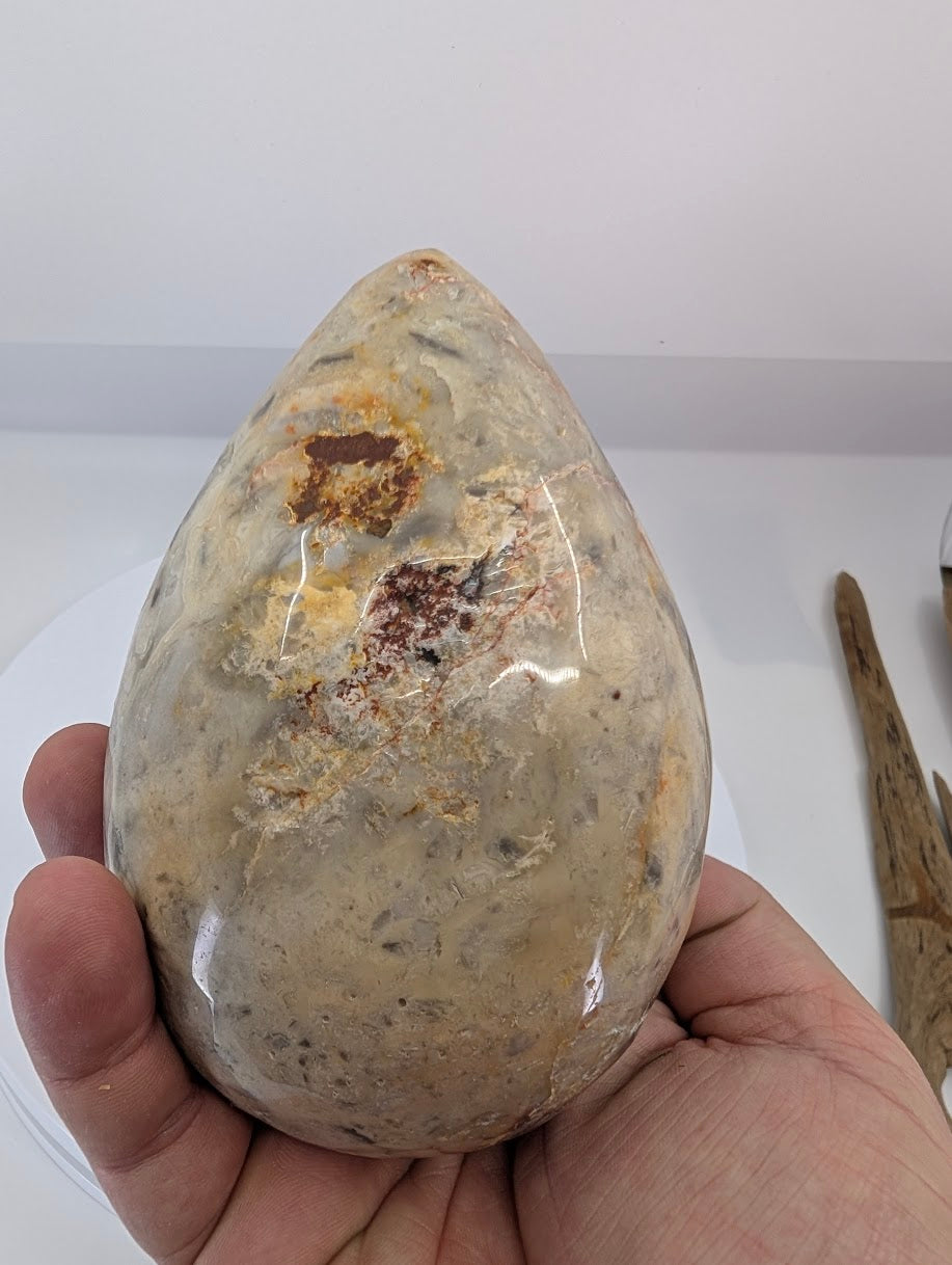 Detail view of crazy lace agate egg highlighting intricate lace banding