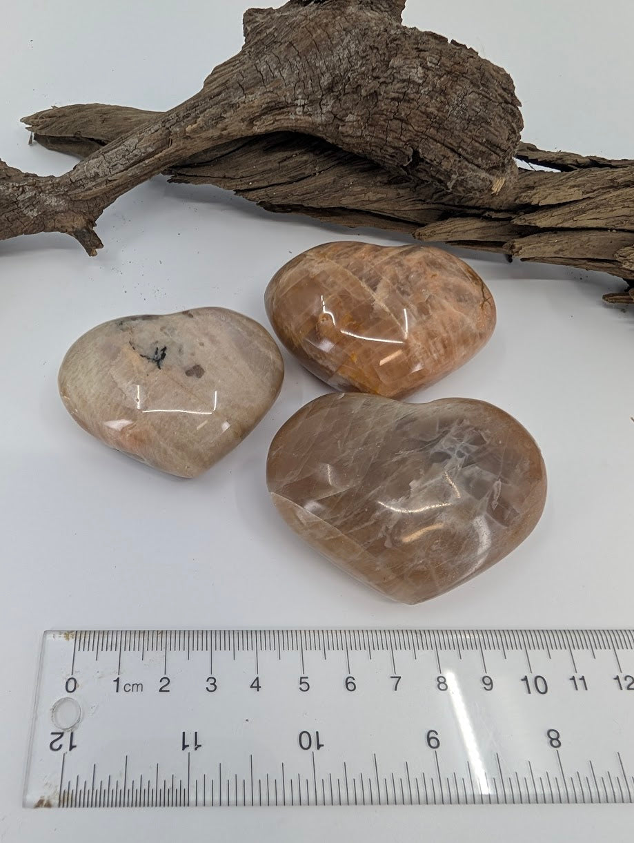 Angle view of polished beige Moonstone hearts on driftwood.