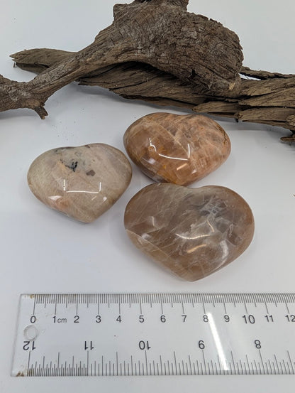 Angle view of polished beige Moonstone hearts on driftwood.