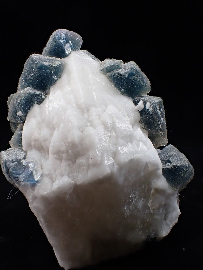 Crowned in Frost: Octahedral Blue Fluorite on Candle Quartz - Legacy Crystals and Minerals