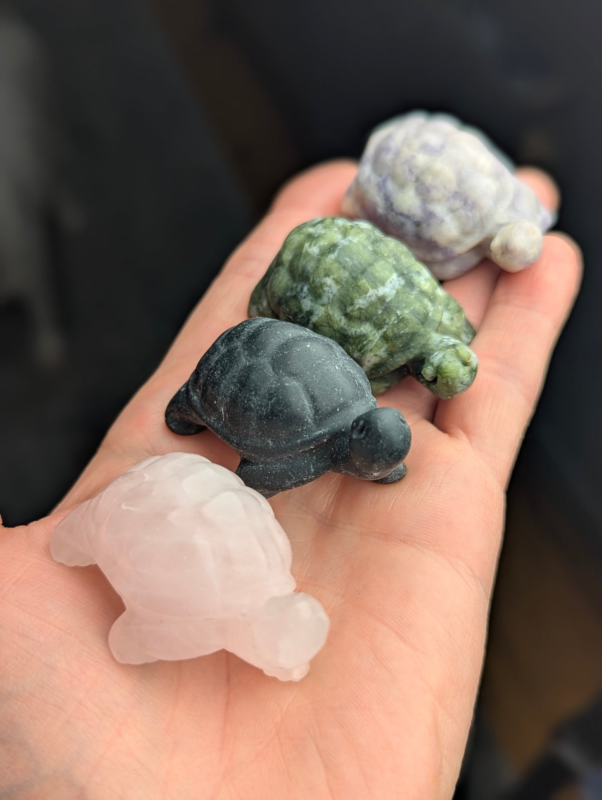 Four crystal tortoise carvings lined up in an open hand, showcasing distinct mineral varieties including black obsidian, green jade, and rose quartz.