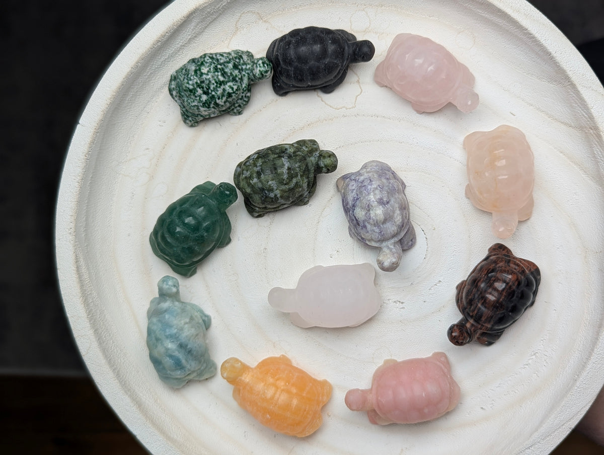 Assorted crystal tortoise carvings made from various mineral types arranged in a circular pattern on a white wooden tray, showing diverse natural colors and patterns.