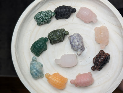 Assorted crystal tortoise carvings made from various mineral types arranged in a circular pattern on a white wooden tray, showing diverse natural colors and patterns.