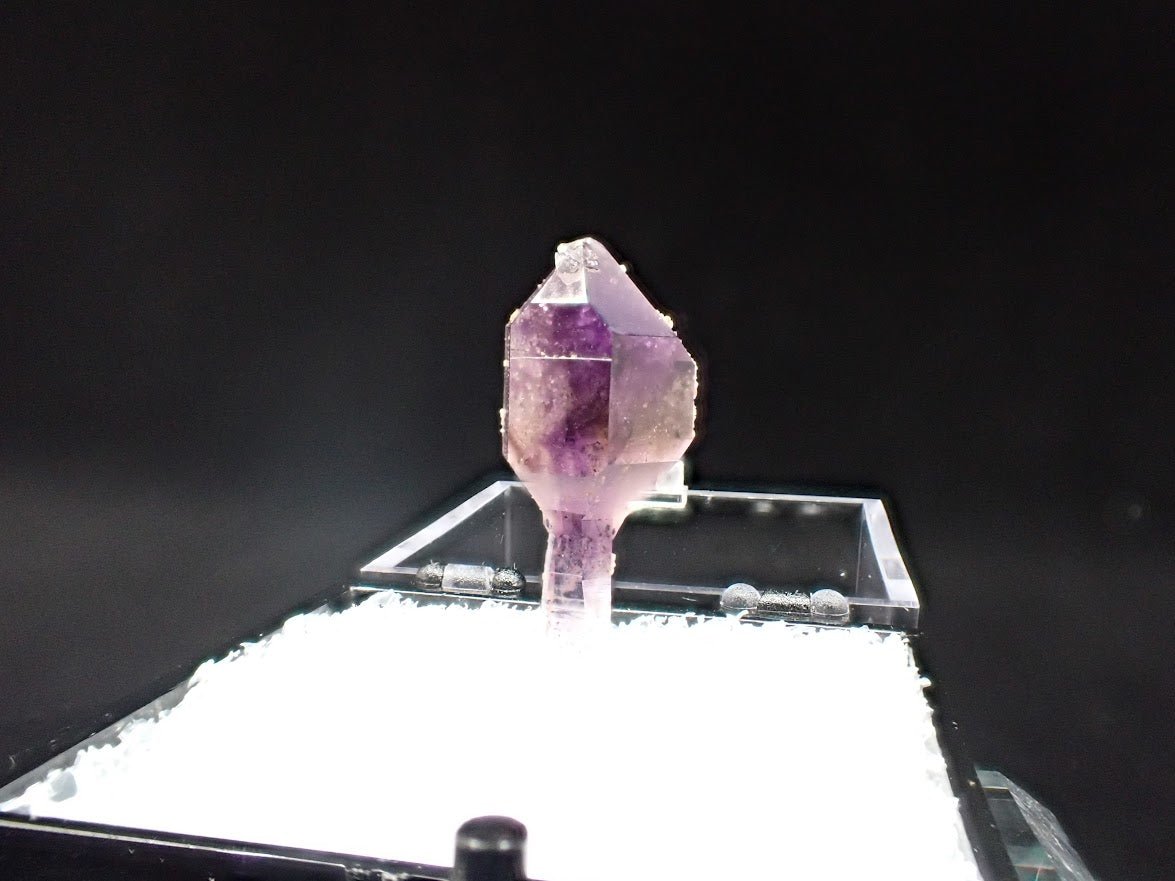 Deep Purple Amethyst Scepter with Analcime – Goboboseb Mountains, Namibia – Micro Specimen (19mm) - Legacy Crystals and Minerals