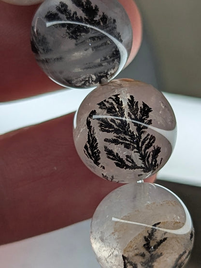 Assorted dendritic quartz beads arranged to showcase internal tree-like manganese formations.