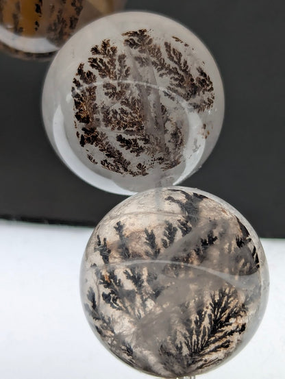 Assorted dendritic quartz beads arranged to showcase internal tree-like manganese formations.