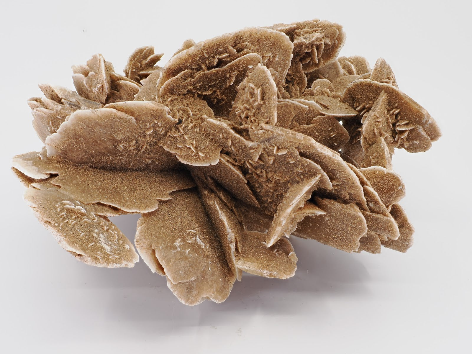Side view of 900g Desert Rose cluster displaying depth and complex petal layering.