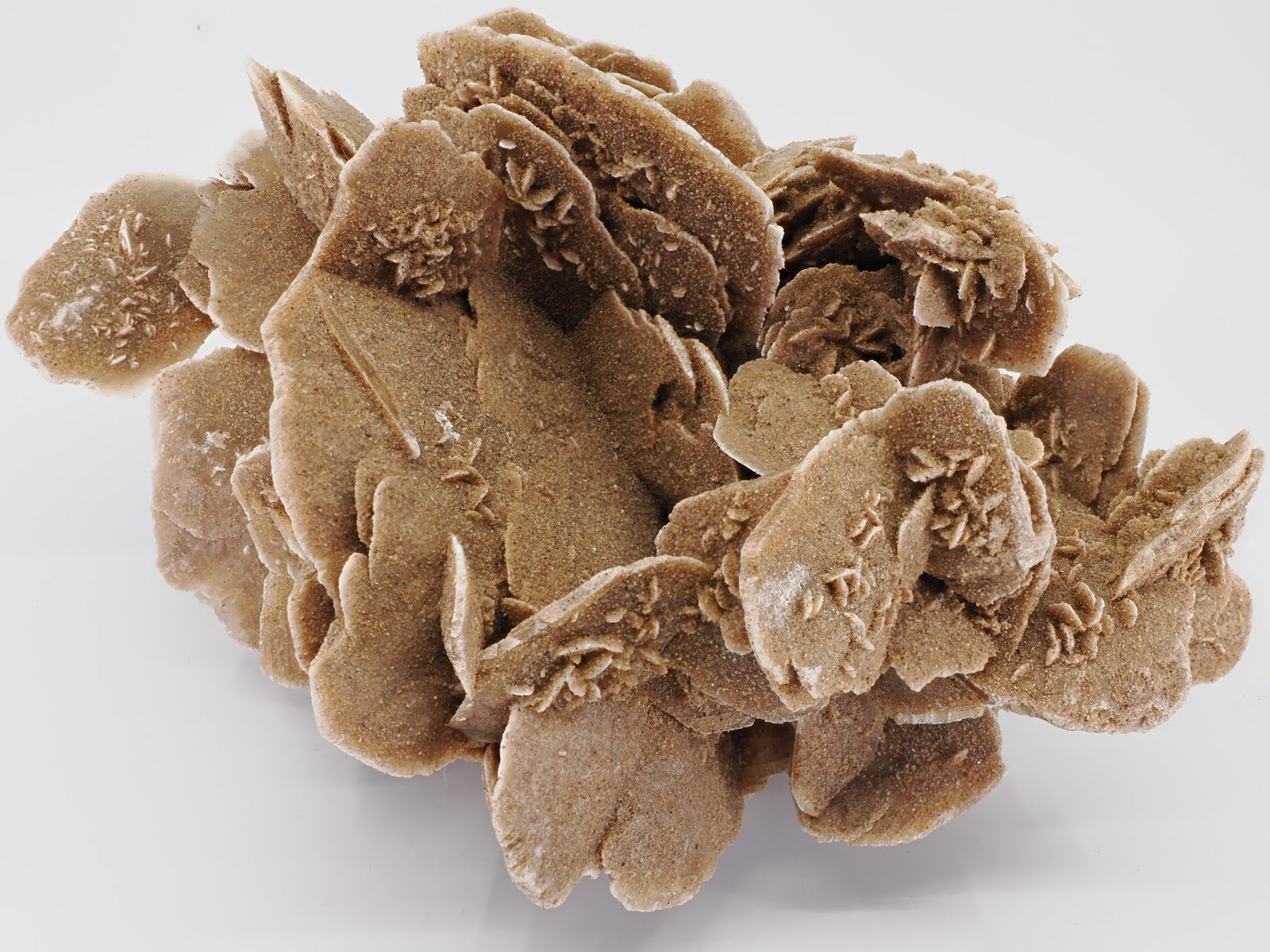Side view of 900g Desert Rose cluster displaying depth and complex petal layering