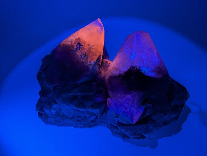 Dogtooth Calcite with Dendritic Inclusions and Sugar Sphalerite – Fujian, China - Legacy Crystals and Minerals