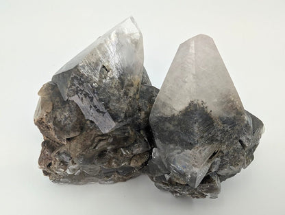 Dogtooth Calcite with Dendritic Inclusions and Sugar Sphalerite – Fujian, China - Legacy Crystals and Minerals