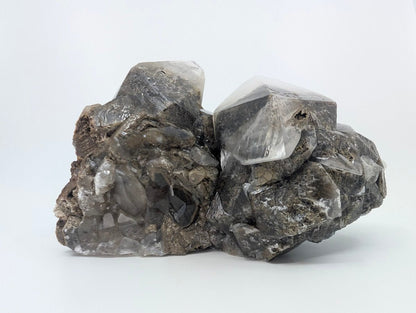 Dogtooth Calcite with Dendritic Inclusions and Sugar Sphalerite – Fujian, China - Legacy Crystals and Minerals