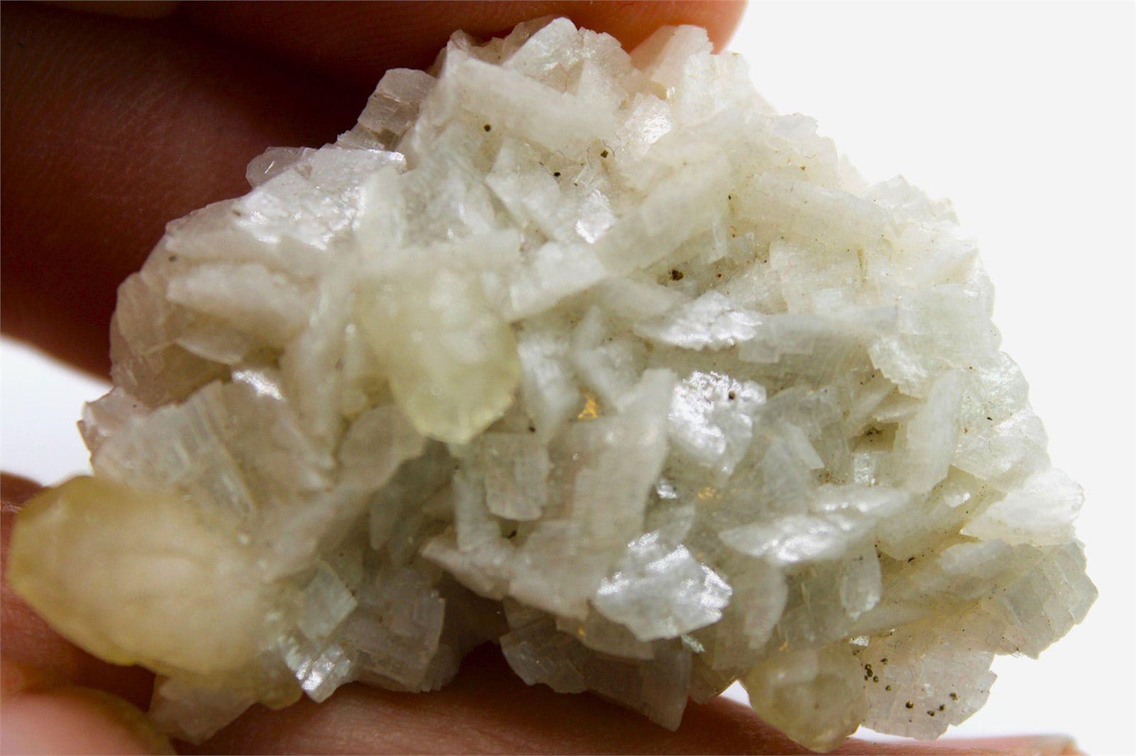 Dolemite Crystal Cluster Formation from Minas Gerais Brazil. Approx. 5 cm x 3.5 cm - Legacy Crystals and Minerals