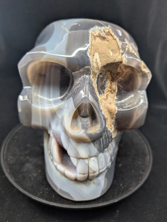Front view of Druzy Agate Skull — 4.3 kg with polished banding and druzy crown