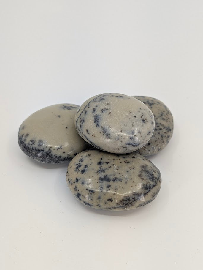 Dendritic Agate Palm Stone showing natural fern-like inclusions