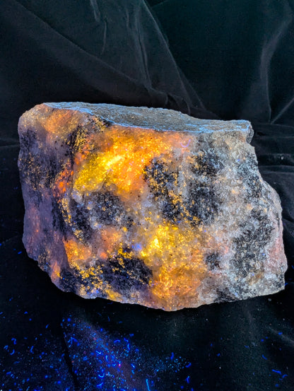 An angled view focusing on the bottom and front edges of the fluorescent Scapolite (Wernerite) specimen from Bancroft, Ontario, under UV light. The intense yellow and orange glow reflects slightly off the black velvet surface, displaying maximum fluorescent saturation and a rugged crystalline texture.