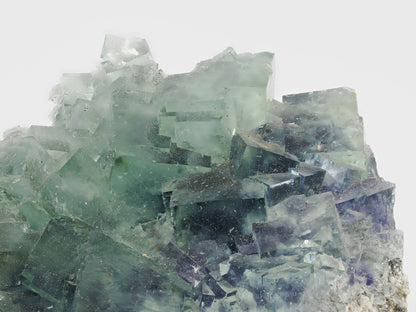 Detail shot of the sharp cubic crystal habit and vitreous glassy luster of the fluorite.