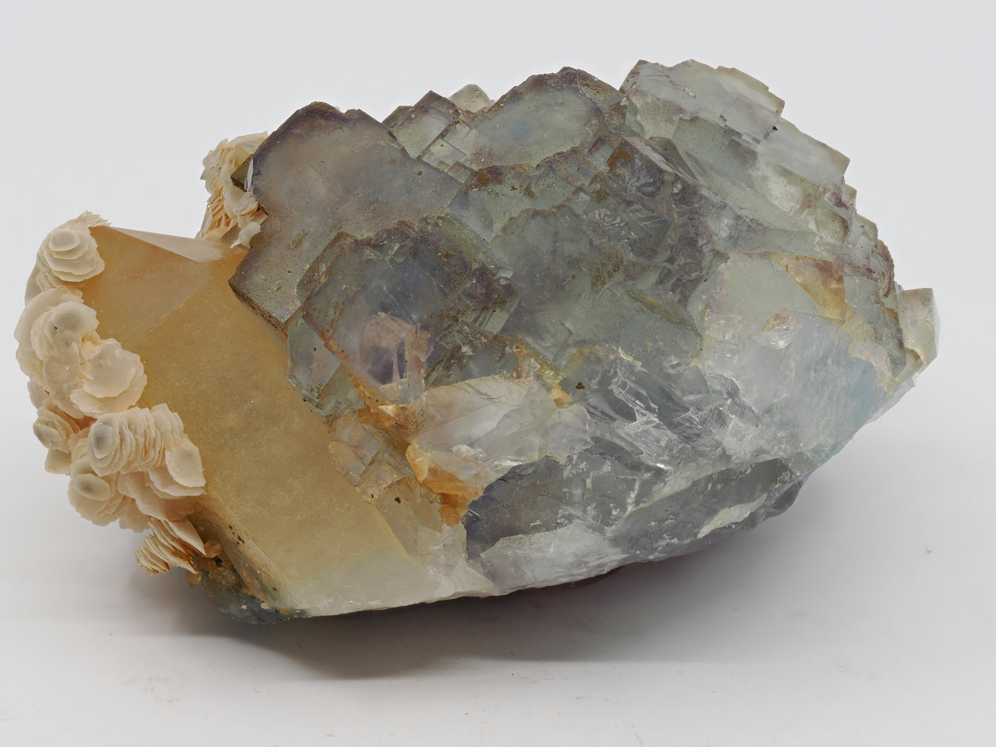 Aesthetic mineral association showing green Fluorite cubes clustered with creamy Calcite flowers on a Smoky Quartz point.