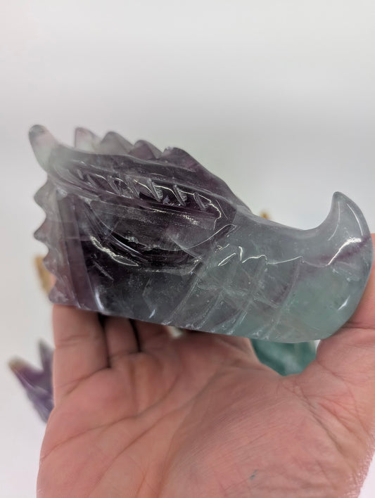 Fluorite Dragon Head Variant A, 645g, green-purple banding, 12 × 5.5 × 6.5