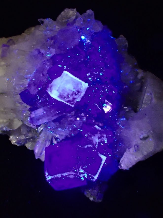 Fluorite on Quartz with Chlorite and UV Fluorescence – Yaogangxian Mine, Hunan, China - Legacy Crystals and Minerals