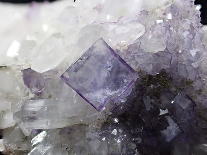 Fluorite on Quartz with Chlorite and UV Fluorescence – Yaogangxian Mine, Hunan, China - Legacy Crystals and Minerals