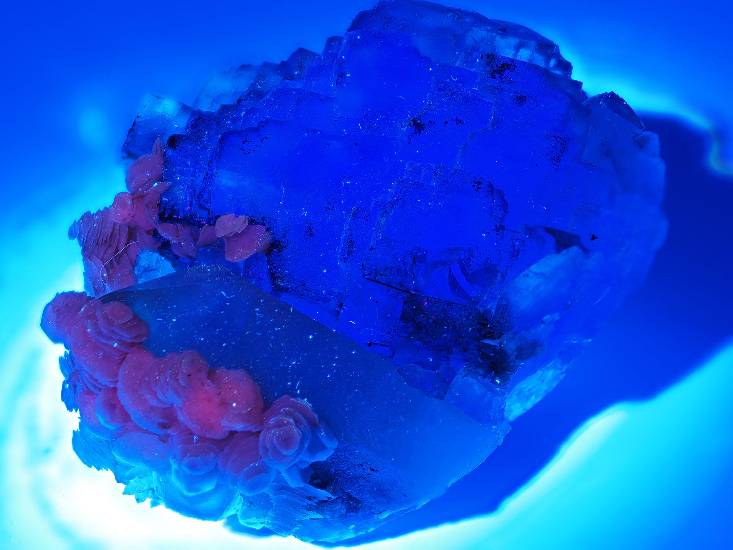 Yaogangxian Fluorite cabinet specimen featuring green cubic crystals with purple phantoms, smoky quartz, and cream poker chip calcite rosettes under UV.