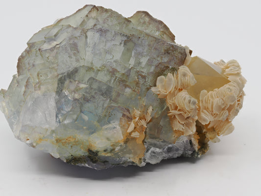 Yaogangxian Fluorite cabinet specimen featuring green cubic crystals with purple phantoms, smoky quartz, and cream poker chip calcite rosettes.