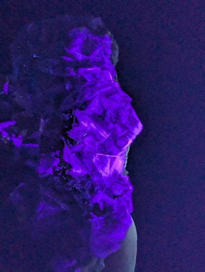 Fluorite with Pyrite - Yindu Mine, Inner Mongolia - Legacy Crystals and Minerals