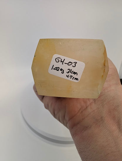 Base view showing dimensions and label 1.02 kg 31 cm