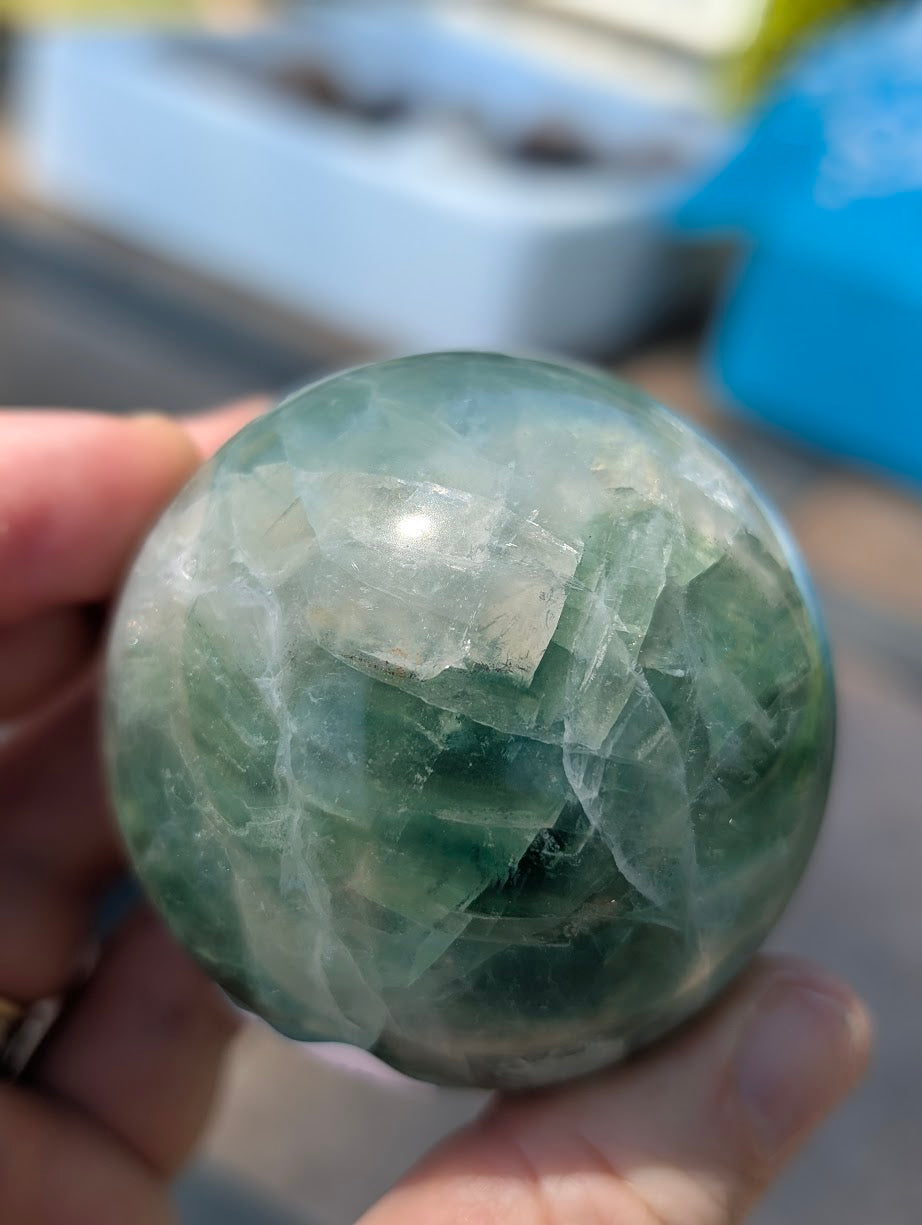A group of six polished green fluorite spheres resting on dark wood stands in natural sunlight.