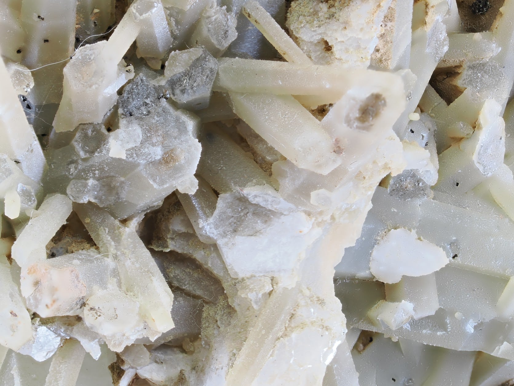 Extreme close-up of hedenbergite inclusions and crystal terminations within the quartz structure.