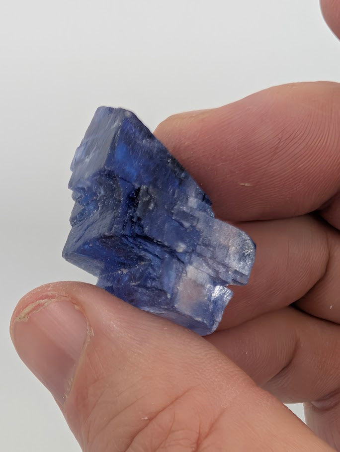 Blue halite with high-definition zoning and crisp cube faces