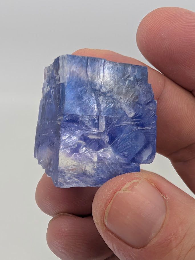 Saturated royal-blue halite specimen with luminous internal structure