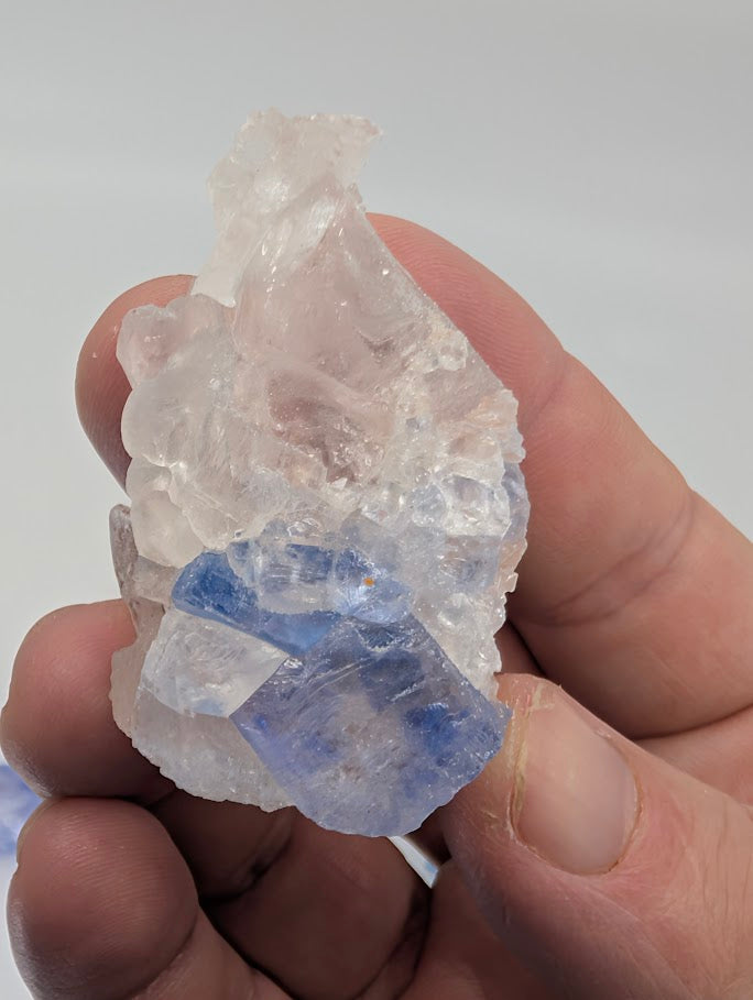 Standard grade blue halite specimen with pale blue zoning