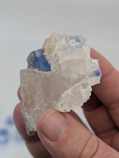 Standard grade Saskatchewan halite specimen from potash district