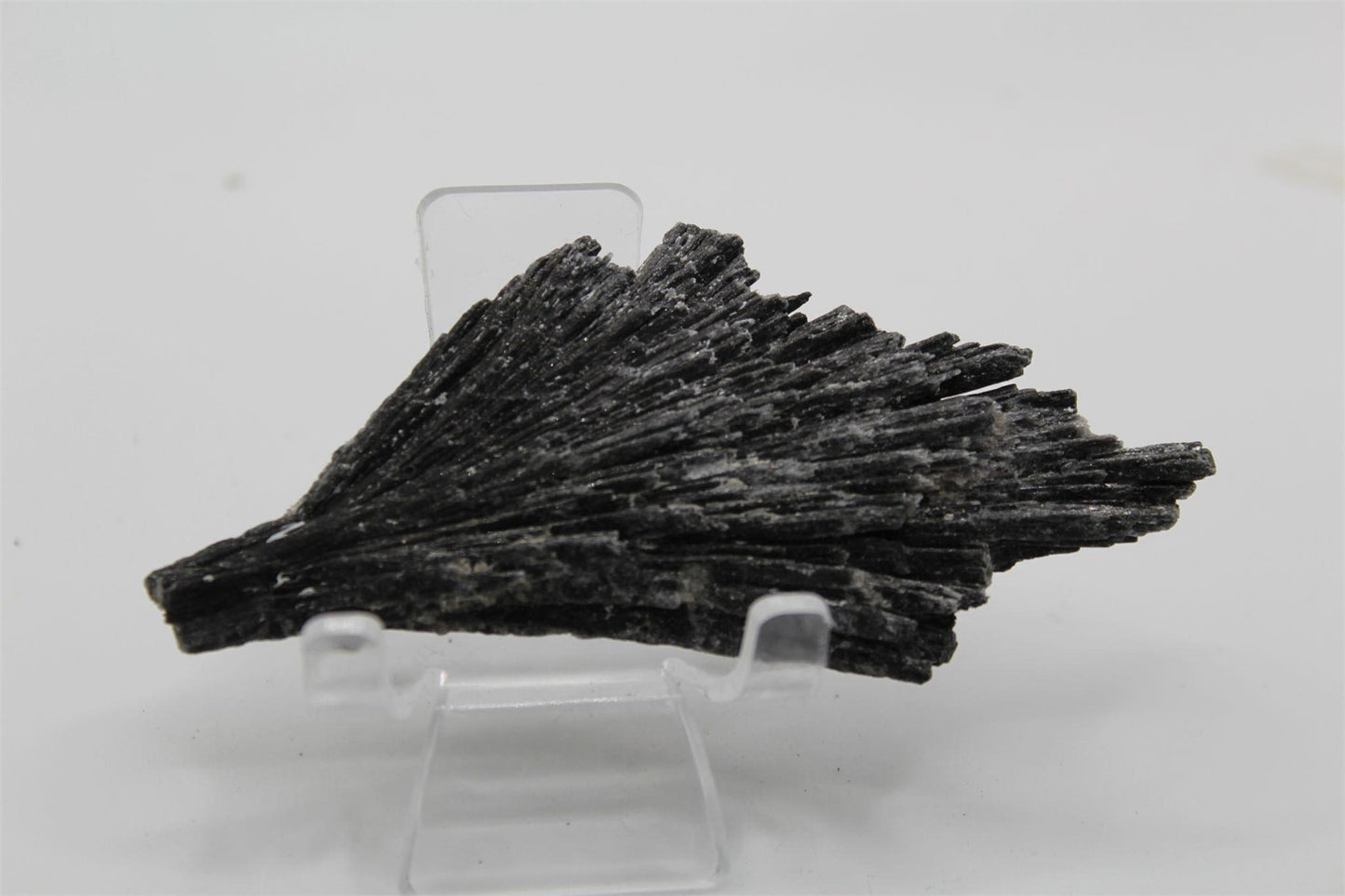 Black Kyanite Crystal – Natural Fan Formation from Brazil