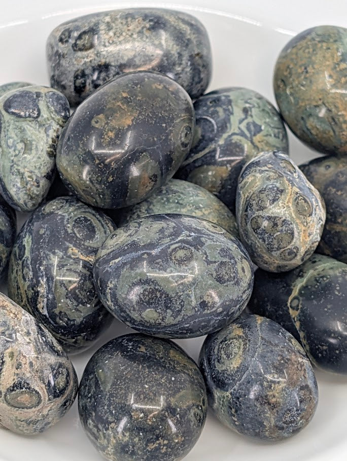 Close-up of Kambaba Jasper tumbled stones showing orbicular patterns